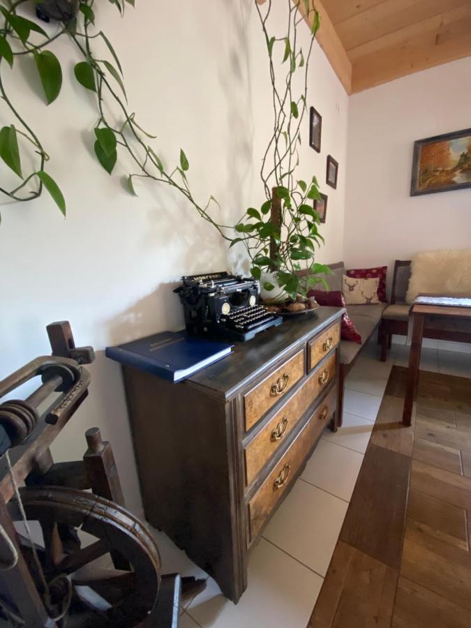 Agroturystyka Sarni Stok Krynica Zdroj Exterior foto