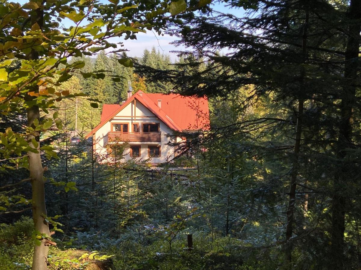 Agroturystyka Sarni Stok Krynica Zdroj Exterior foto