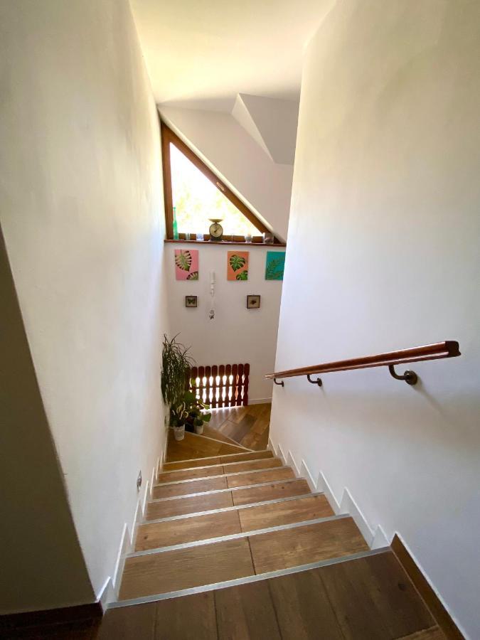Agroturystyka Sarni Stok Krynica Zdroj Exterior foto